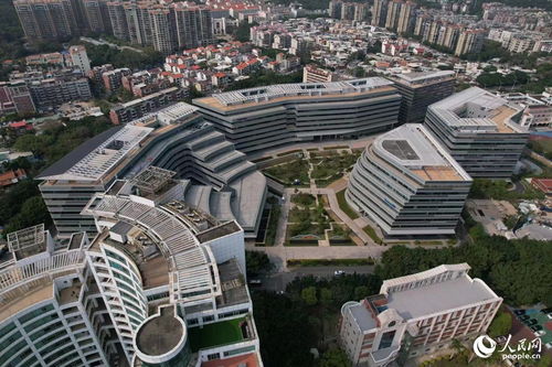 搭建平臺 編制目錄 廈門持續優化政策促進軟件產業高質量發展